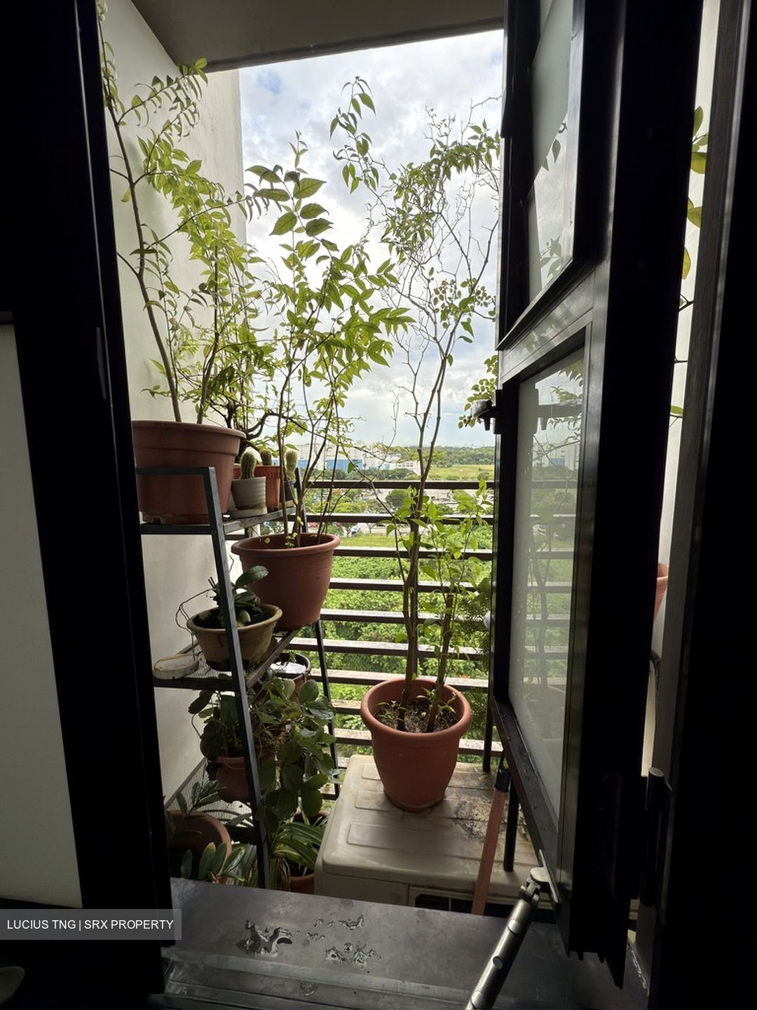 Blk 605B Tampines Greenridges (Tampines), HDB 4 Rooms #520547321